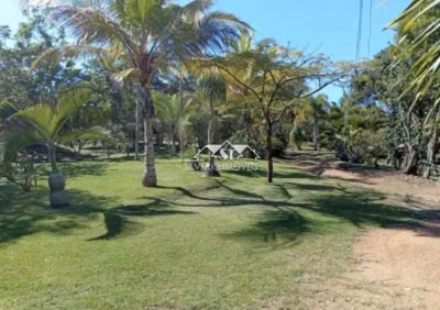 Sítio, 5 quartos, 4 hectares - Foto 1