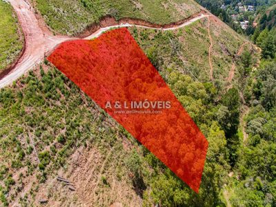 Terreno, 2463 m² - Foto 4