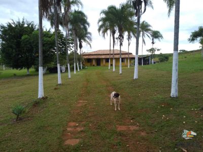Chácara, 7000 m² - Foto 2