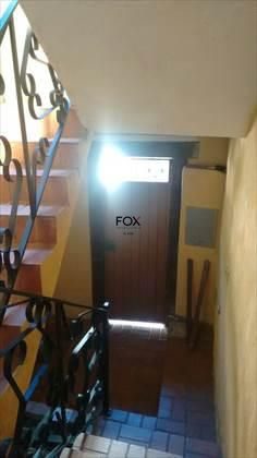 Casa, 4 quartos, 277 m² - Foto 4