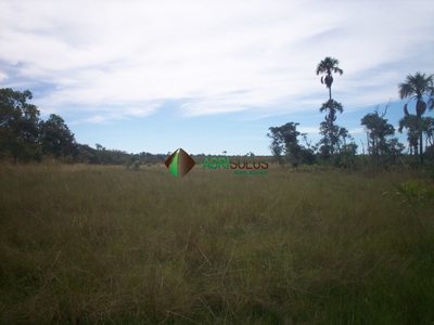 Terreno, 3 hectares - Foto 3