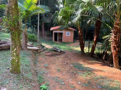 Terreno, 4300 m² - Foto 3