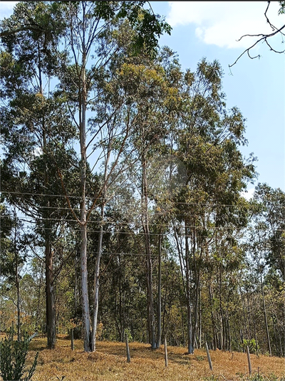 Terreno, 2 hectares - Foto 1