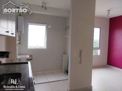 Casa, 3 quartos, 44 m² - Foto 3
