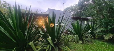 Sítio, 1 quarto, 3 hectares - Foto 5