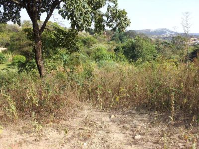 Terreno, 567 m² - Foto 3
