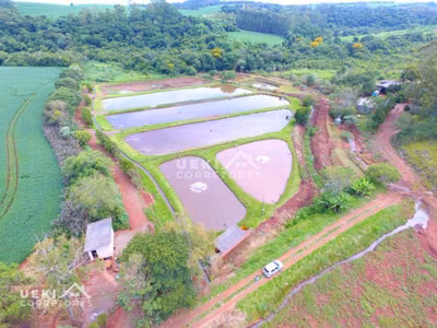 Fazenda, 77 hectares - Foto 1