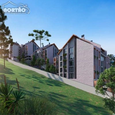 Terreno, 5000 m² - Foto 2