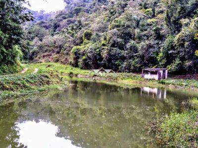 Fazenda, 3 hectares - Foto 3