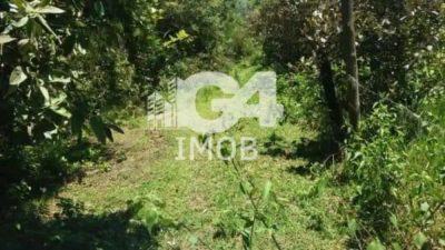Terreno, 2900 m² - Foto 5