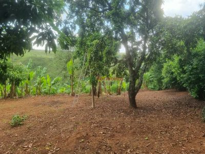 Terreno, 3000 m² - Foto 2