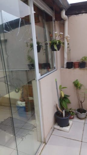 Casa, 4 quartos, 80 m² - Foto 4