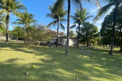 Terreno, 1 hectares - Foto 3