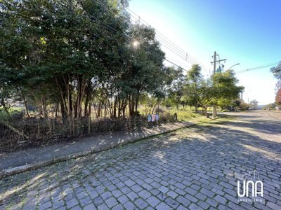Terreno, 476 m² - Foto 3