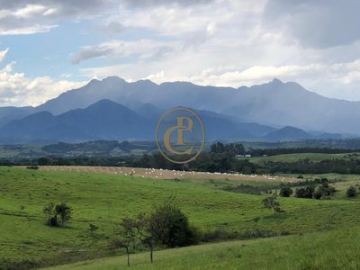 Fazenda, 6000 m² - Foto 1