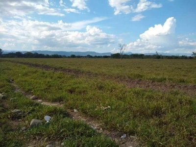 Terreno, 24 hectares - Foto 2