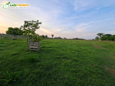 Terreno, 774 m² - Foto 5