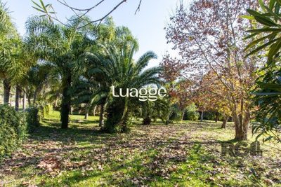 Sítio, 3061 m² - Foto 4