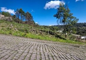 Terreno, 434 hectares - Foto 3