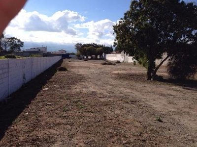 Terreno, 5000 m² - Foto 5