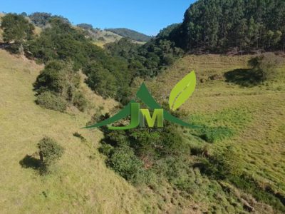 Terreno, 3 hectares - Foto 4