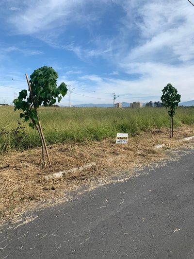 Terreno, 175 m² - Foto 4