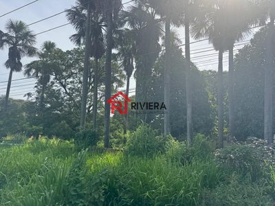 Loteamento e Condomínio, 2 hectares - Foto 4