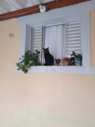 Casa, 3 quartos, 100 m² - Foto 2