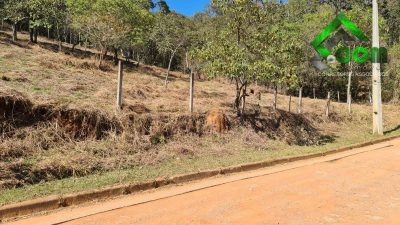 Loteamento e Condomínio, 3600 m² - Foto 4