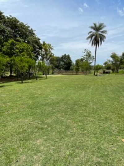 Depósito-Galpão - Foto 1