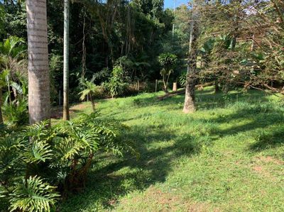 Terreno, 4300 m² - Foto 4