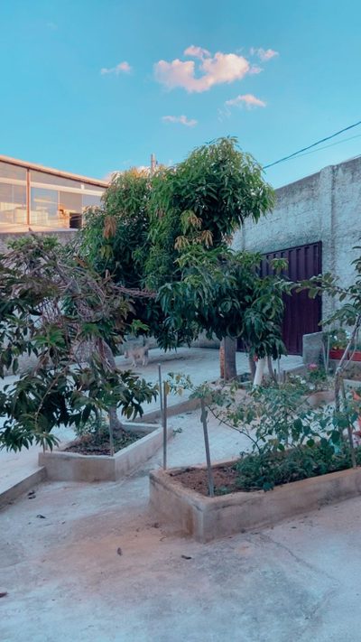 Casa, 3 quartos, 90 m² - Foto 5