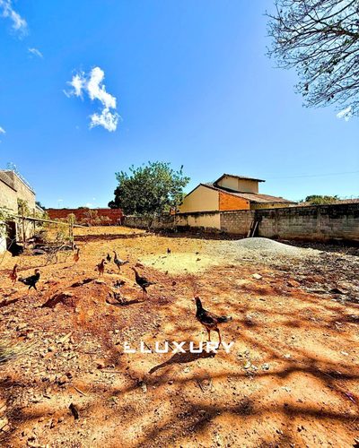 Terreno, 675 m² - Foto 3