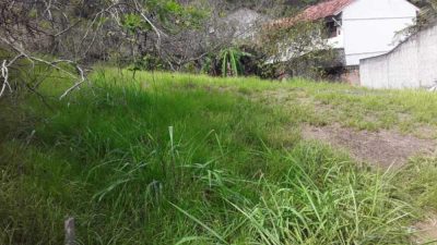 Terreno - Foto 4