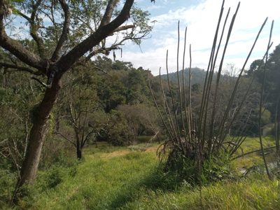 Terreno, 10 hectares - Foto 2
