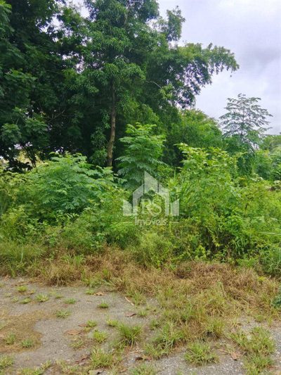 Terreno, 528 m² - Foto 3