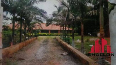 Terreno, 5000 m² - Foto 3