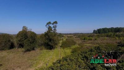 Sítio, 99999 m² - Foto 4