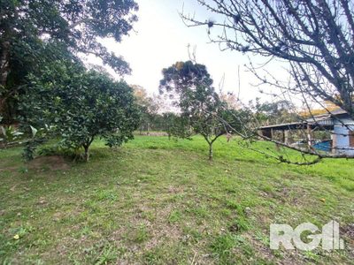 Sítio, 3 quartos, 59 m² - Foto 4