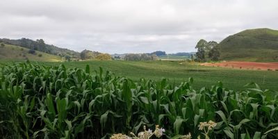 Fazenda, 68 hectares - Foto 4