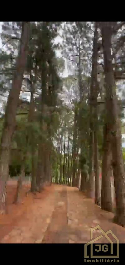 Sítio, 3 quartos, 1 hectares - Foto 5