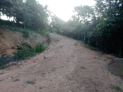 Sítio, 1 quarto, 2 hectares - Foto 4