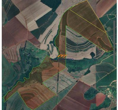 Fazenda, 206 hectares - Foto 2