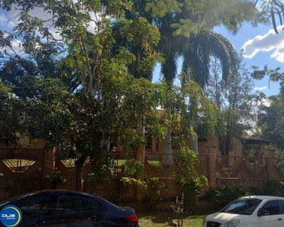 Chácara, 3 quartos - Foto 3