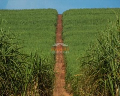Fazenda, 7560 m² - Foto 3