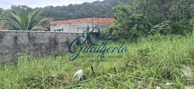 Terreno, 300 m² - Foto 3