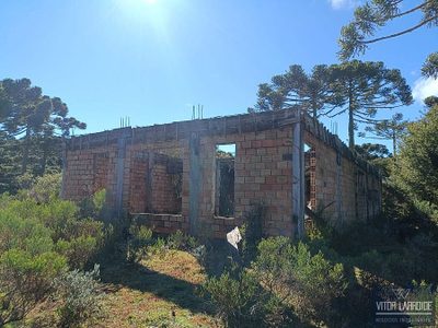 Fazenda, 4 hectares - Foto 4