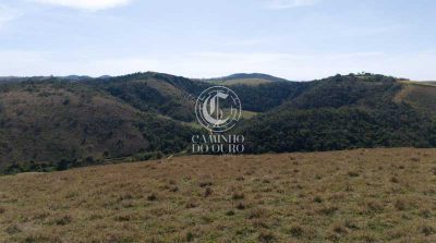 Fazenda - Foto 5