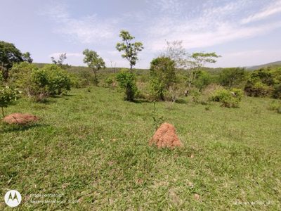 Fazenda, 194 hectares - Foto 1