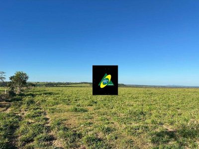 Fazenda, 1058 hectares - Foto 4